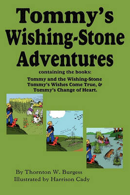 Book cover for Tommy's Wishing-Stone Adventures--The Wishing Stone, Wishes Come True, Change of Heart