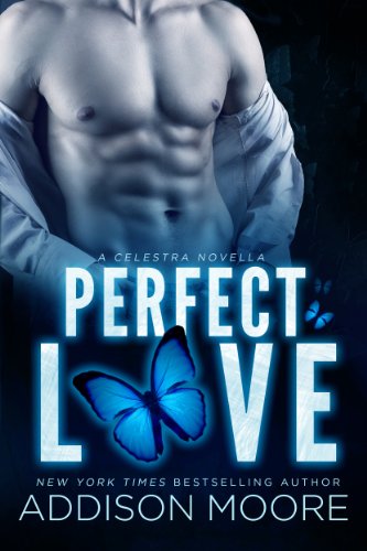 Book cover for Perfect Love