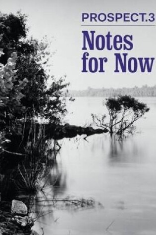 Cover of Prospect 3: Notes for Now