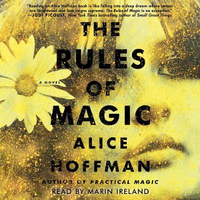 Book cover for The Rules of Magic