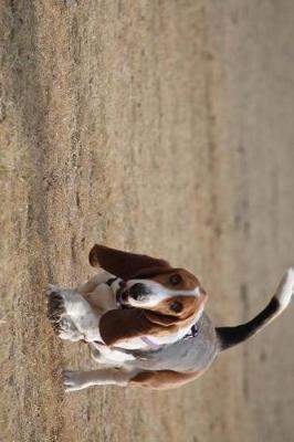 Book cover for Cute Basset Hound Dog Taking a Stroll Journal