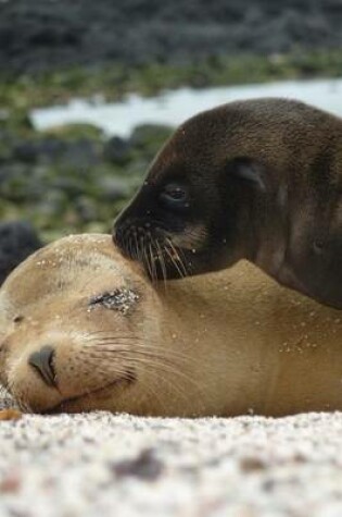 Cover of Adorable Seals Animal Journal