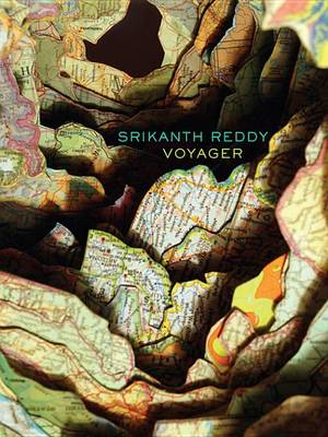 Book cover for Voyager