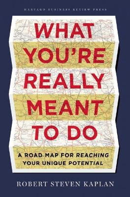 Book cover for What You're Really Meant to Do