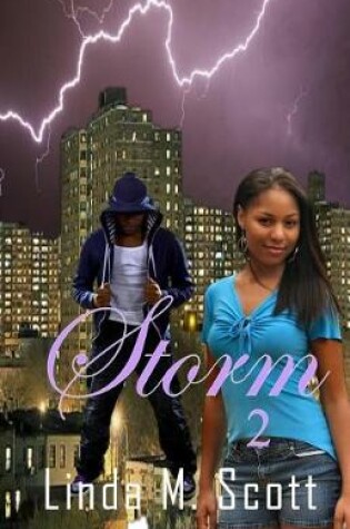 Cover of Storm 2