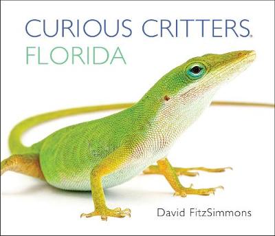 Book cover for Curious Critters Florida