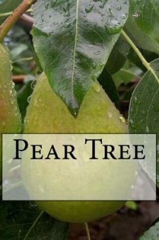 Cover of Pear Tree