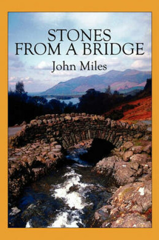 Cover of Stones from a Bridge