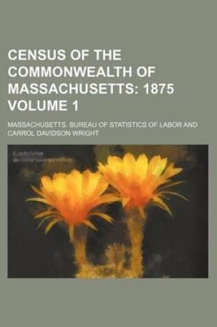 Cover of Census of the Commonwealth of Massachusetts Volume 1; 1875