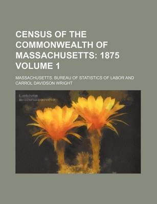 Book cover for Census of the Commonwealth of Massachusetts Volume 1; 1875