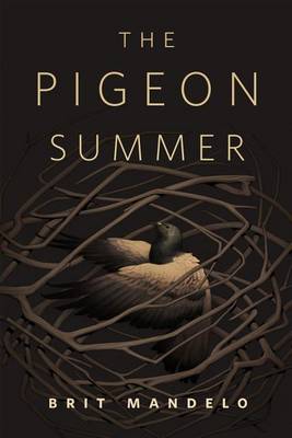 Book cover for The Pigeon Summer