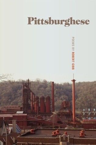 Cover of Pittsburghese