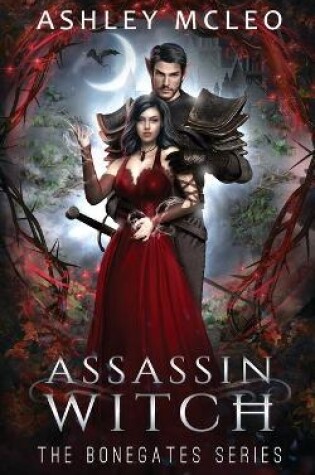 Cover of Assassin Witch