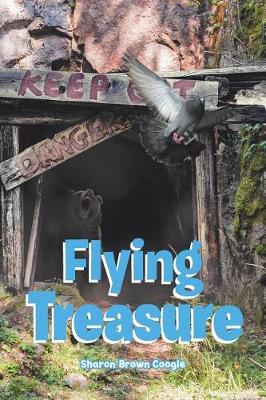 Cover of Flying Treasure