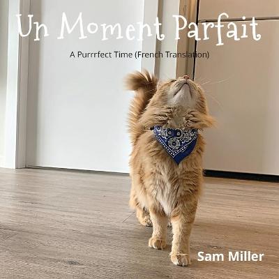 Book cover for Un Moment Parfait