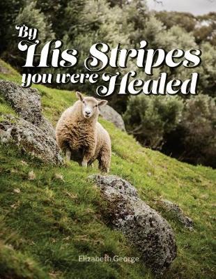 Book cover for By His Stripes You Were Healed