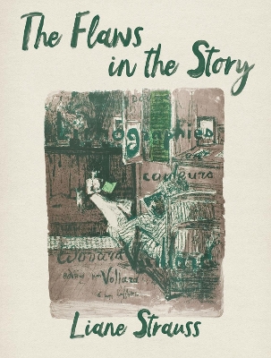 Book cover for The Flaws in the Story