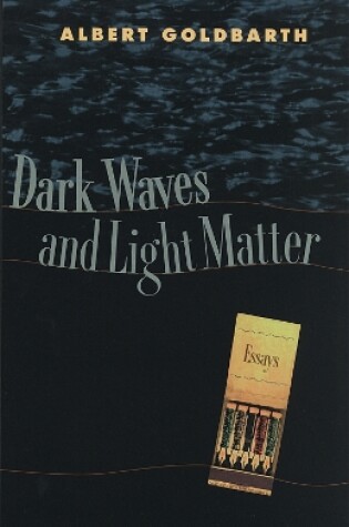 Cover of Dark Waves and Light Matter