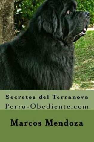 Cover of Secretos del Terranova