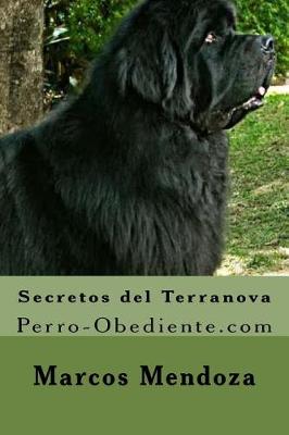 Book cover for Secretos del Terranova