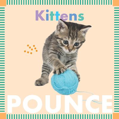 Book cover for Kittens Pounce