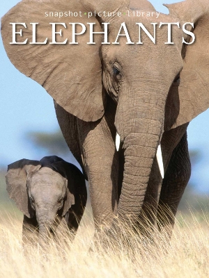 Book cover for Elephants