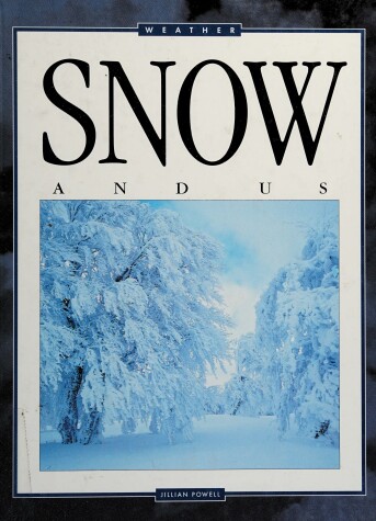 Book cover for The Snow and Us