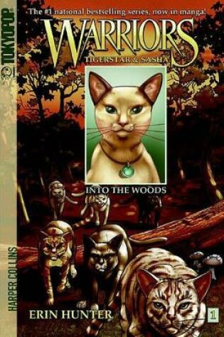 Cover of Into the Woods