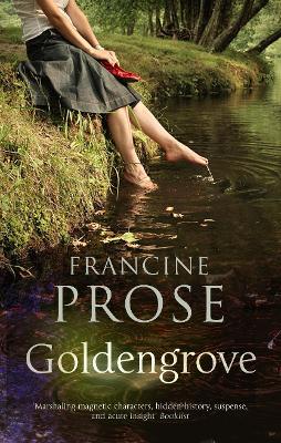 Book cover for Goldengrove