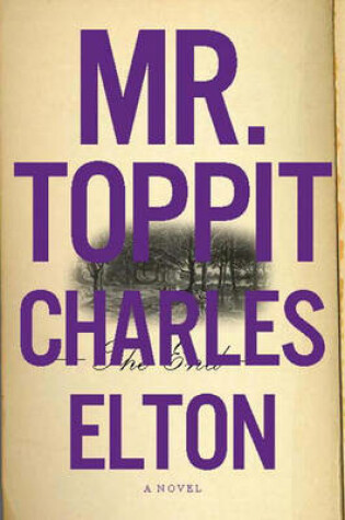 Cover of Mr. Toppit