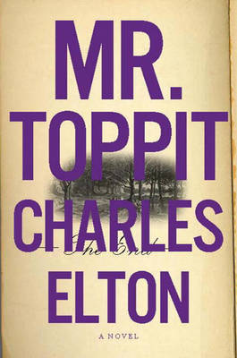 Book cover for Mr. Toppit