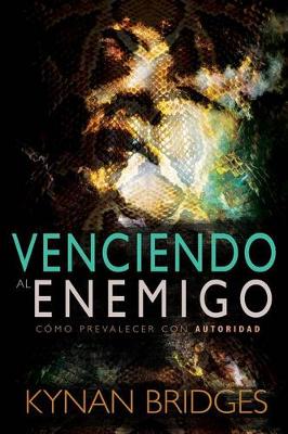 Book cover for Venciendo Al Enemigo