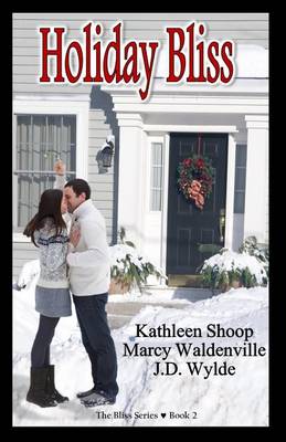 Book cover for Holiday Bliss