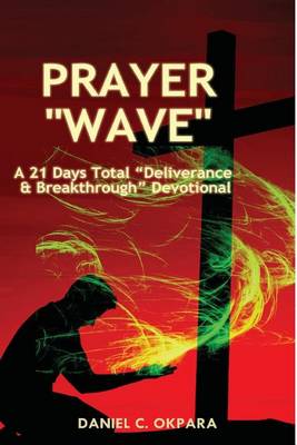 Book cover for Prayer Wave