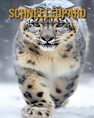 Book cover for Schneeleopard