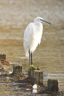 Cover of Egret Notebook