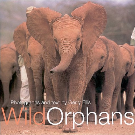 Book cover for Wild Orphans