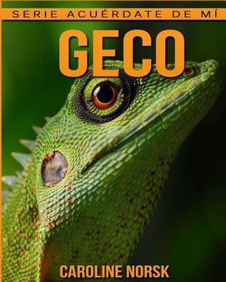 Book cover for Geco