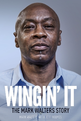 Book cover for Wingin' It