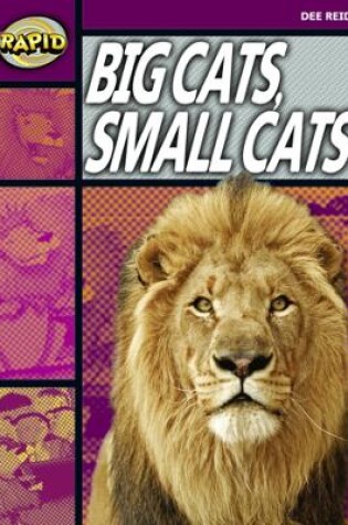 Cover of Rapid Reading: Big Cats Small Cats (Stage 1, Level 1A)