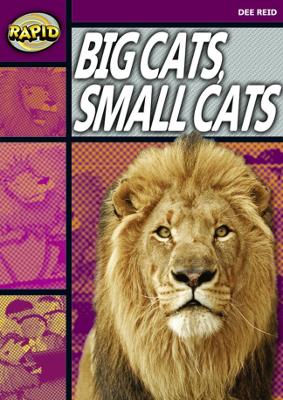 Book cover for Rapid Reading: Big Cats Small Cats (Stage 1, Level 1A)