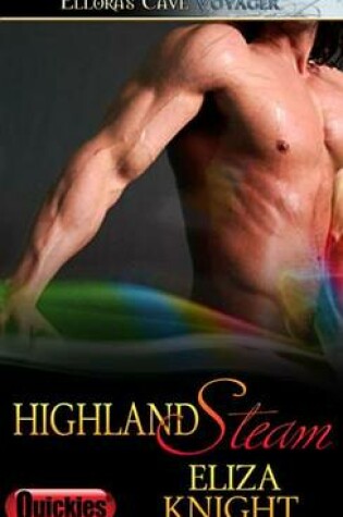 Cover of Highland Steam