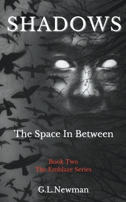 Cover of Shadows The Space Inbetween