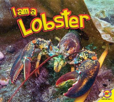 Book cover for I Am a Lobster