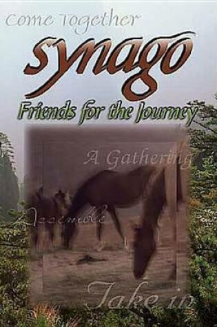 Cover of Synago Friends for the Journey Student