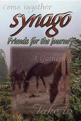 Book cover for Synago Friends for the Journey Student