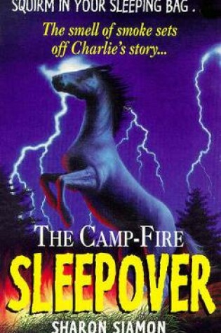 Cover of Camp Fire Sleepover 4