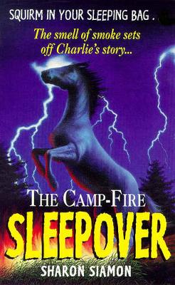 Book cover for Camp Fire Sleepover 4