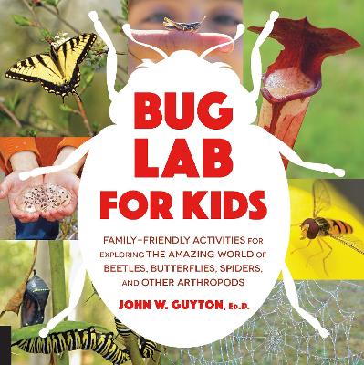 Book cover for Bug Lab for Kids