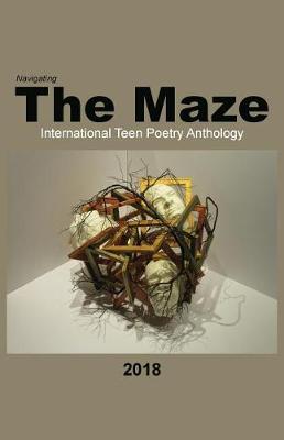 Cover of Navigating the Maze